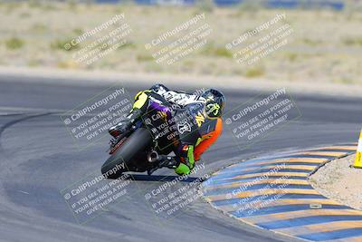 media/Apr-14-2024-SoCal Trackdays (Sun) [[70f97d3d4f]]/2-Turn 11 Backside (935am)/